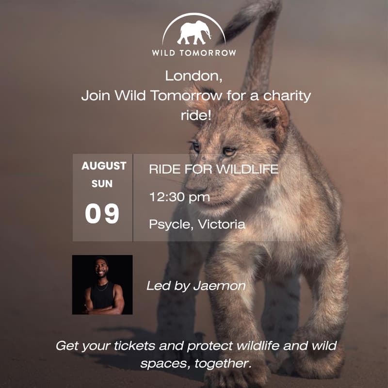Cover Image for Charity Ride for Wildlife