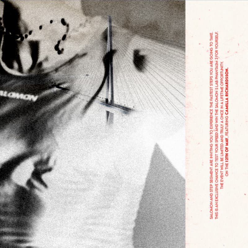 Cover Image for Salomon X Step Segment