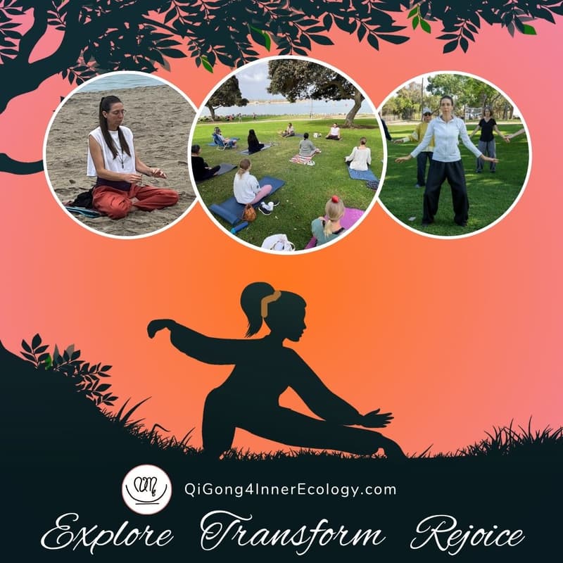 Cover Image for Connecting with Nature Meditation and Qi Gong