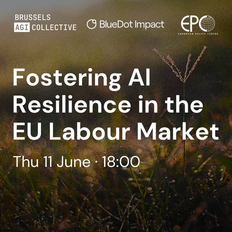 Cover Image for Fostering AI Resilience in the EU Labour Market (Brussels AGI Collective)