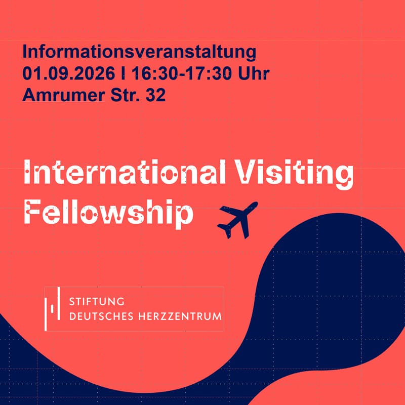 Cover Image for Informationsveranstaltung zu International Visiting Fellowship