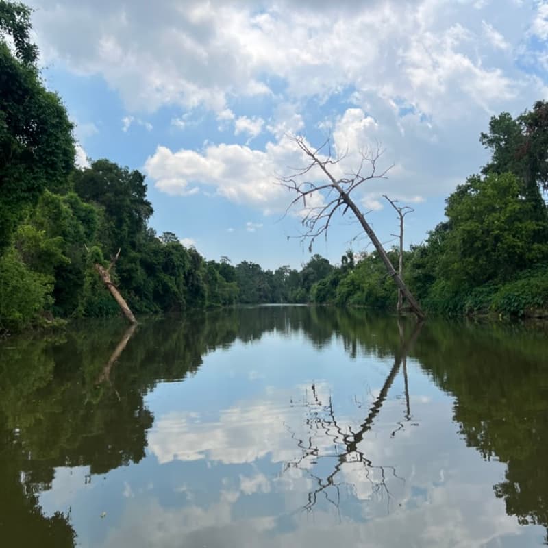 Cover Image for Brays Bayou Paddle Nov 7