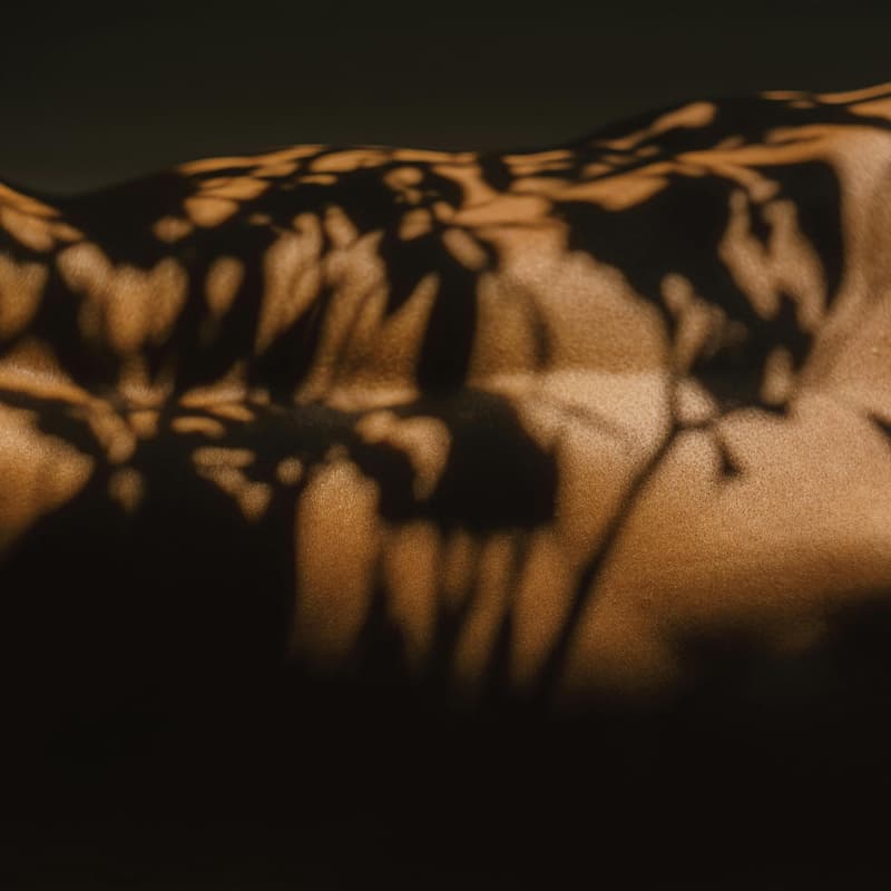 Cover Image for El Pulso del Deseo/ Where Desire Begins