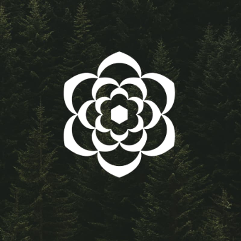 Cover Image for Sierra in DACH