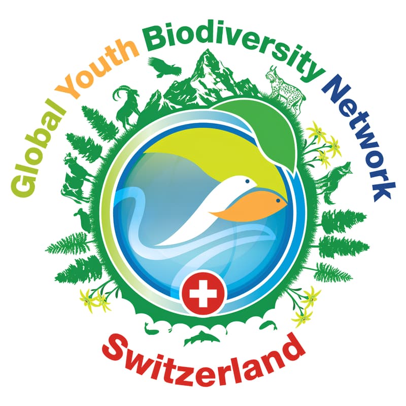 Cover Image for GYBN Switzerland Launch