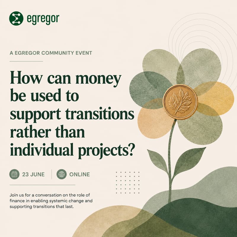 Cover Image for How can money be used to support transitions rather than individual projects?