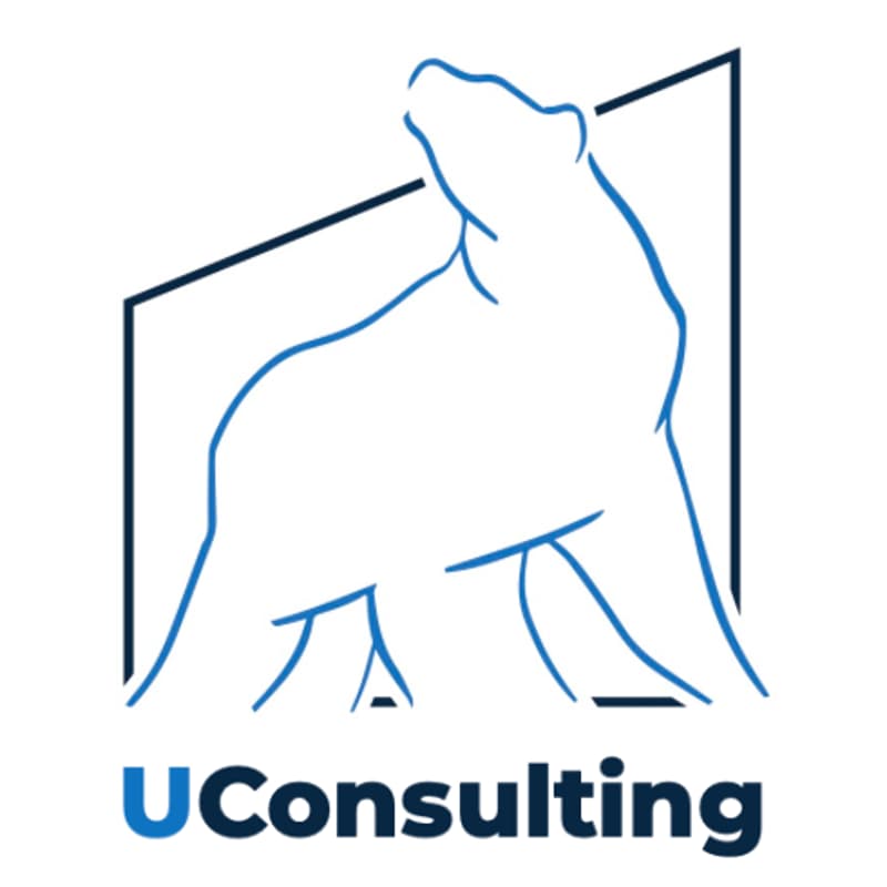Cover Image for UConsulting Info Session