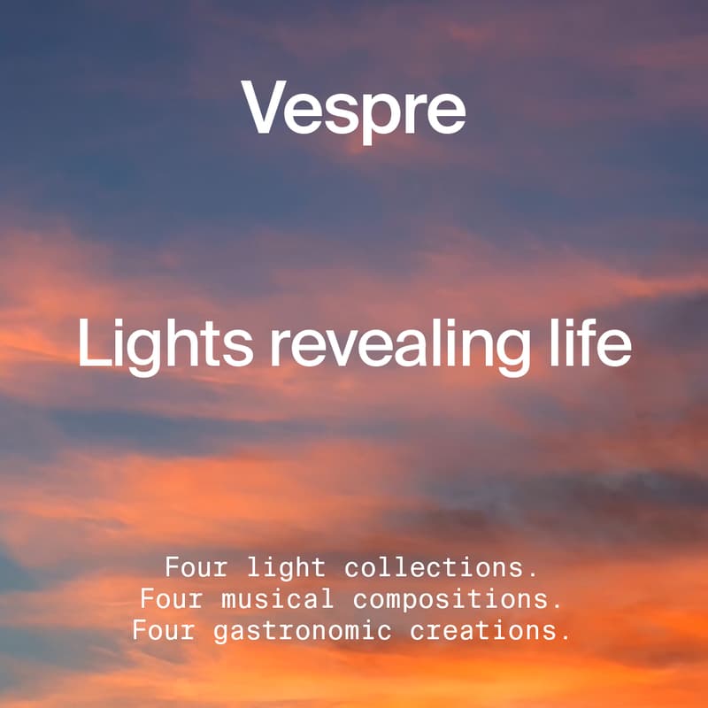 Cover Image for Lights revealing life.