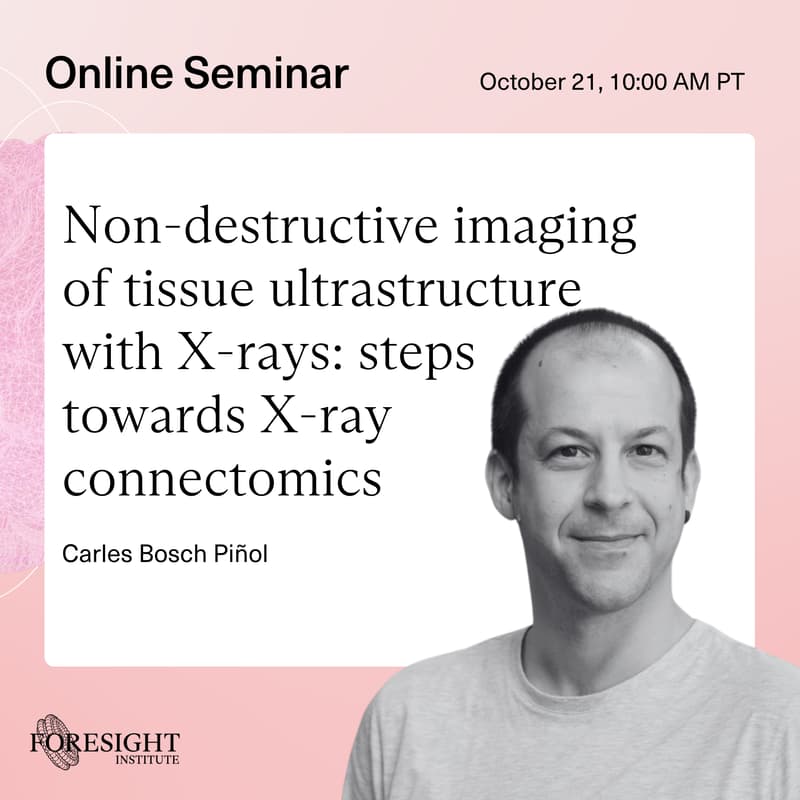 Cover Image for Carles Bosch Piñol | Non-destructive imaging of tissue ultrastructure with X-rays: steps towards X-ray connectomics