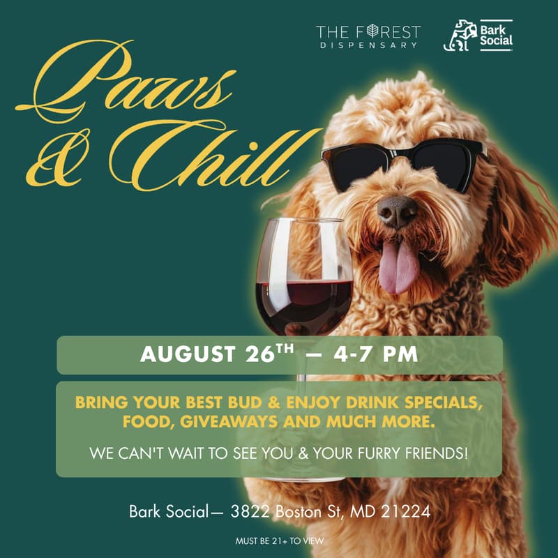 Cover Image for Paws & Chill