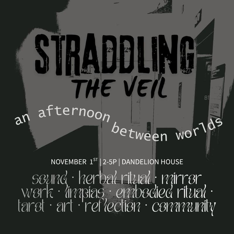 Cover Image for Straddling the Veil ~ an afternoon between worlds