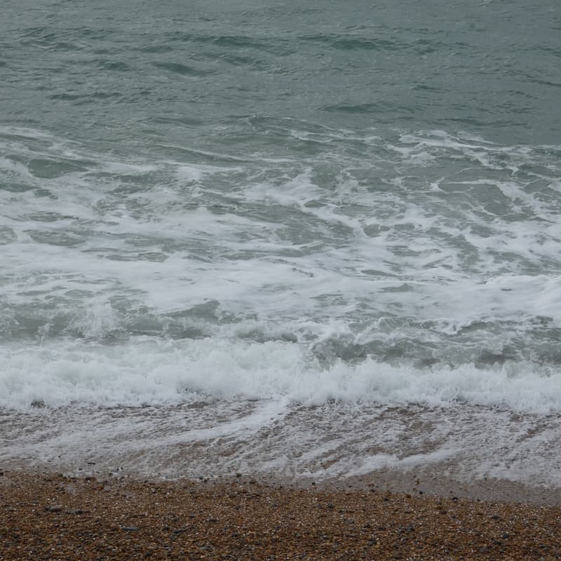 Cover Image for Notion Devotion Brighton 16