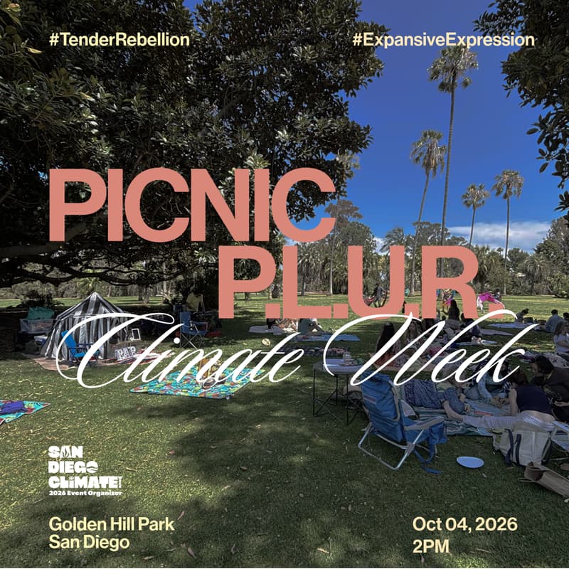 Cover Image for Picnic P.L.U.R.