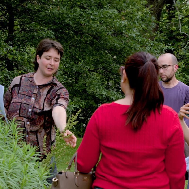 Cover Image for Herbalism Workshop @ Boston Nature Center