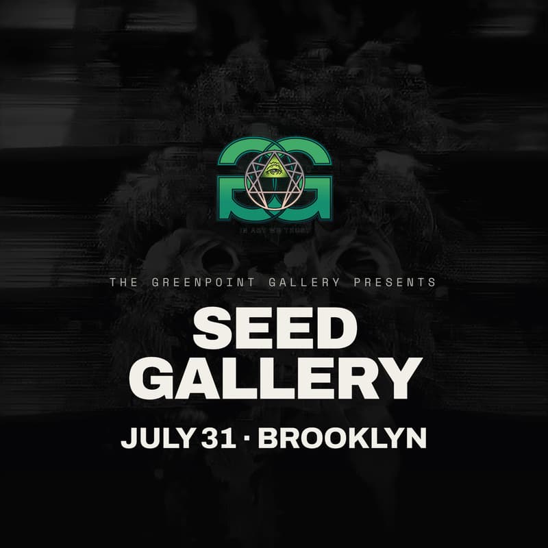 Cover Image for Seed Gallery Solo Art Showcase