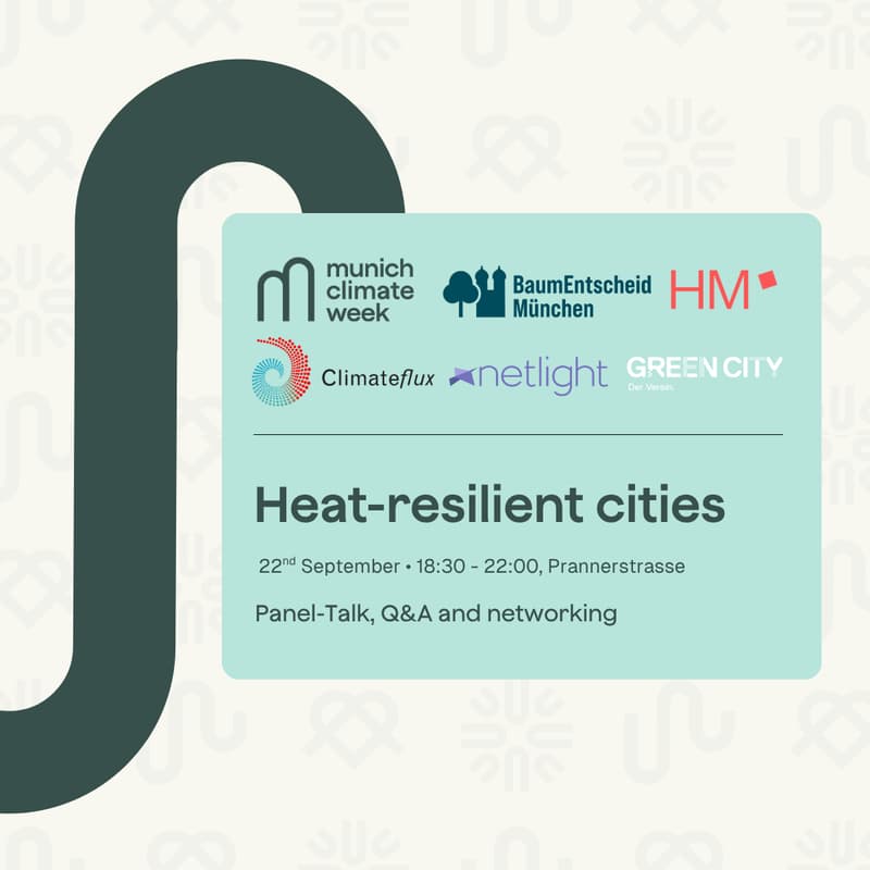 Cover Image for Heat resilience in big cities: How can we adapt?