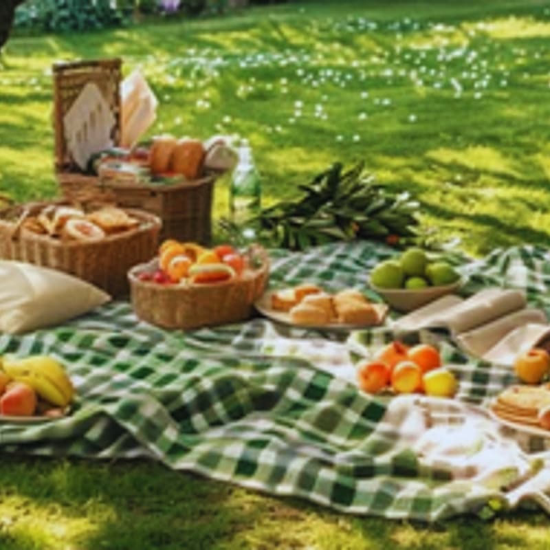 Cover Image for Picnic & Friendship Bracelet Making