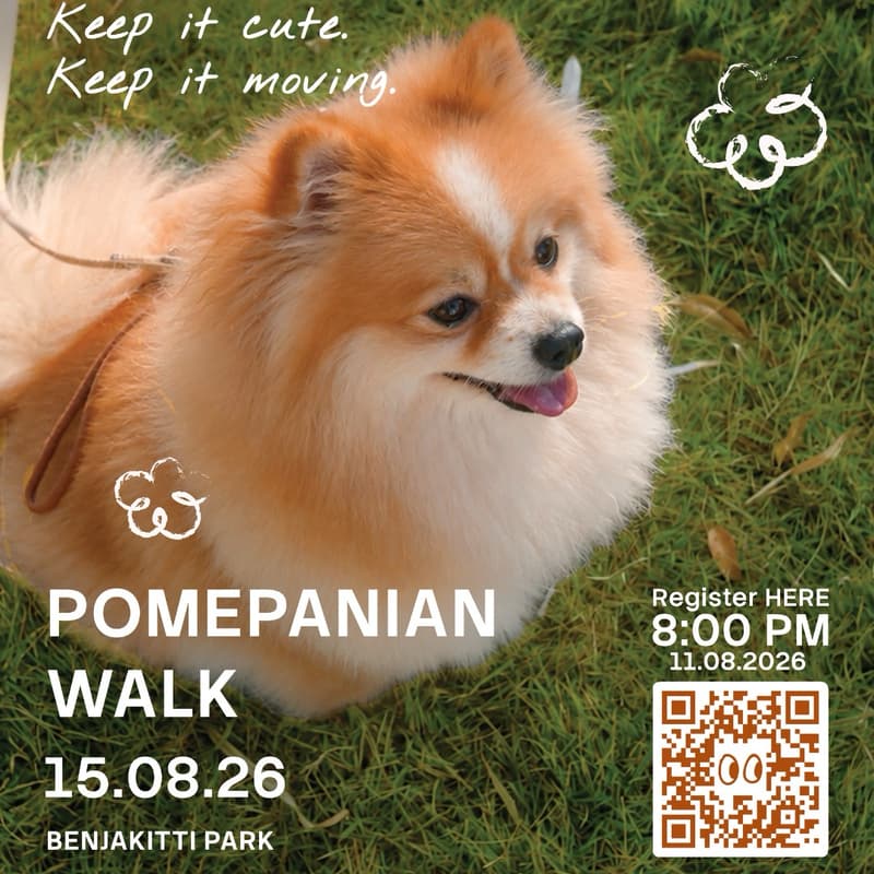 Cover Image for DOG TOKTAK: Pomeranian Walk