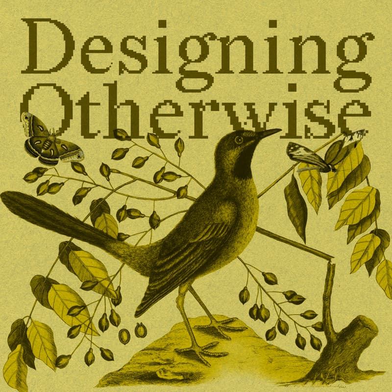 Cover Image for Designing Otherwise: Community Circle