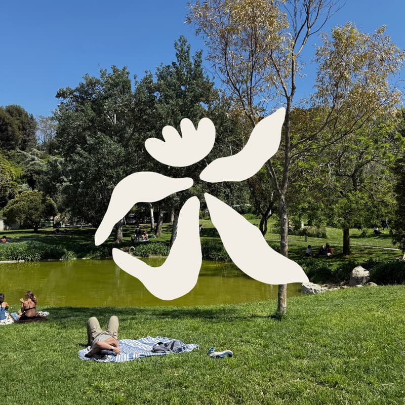 Cover Image for CRAFT | Crochet in the Park
