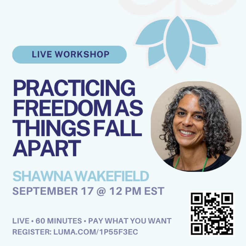 Cover Image for Practicing Freedom as Things Fall Apart