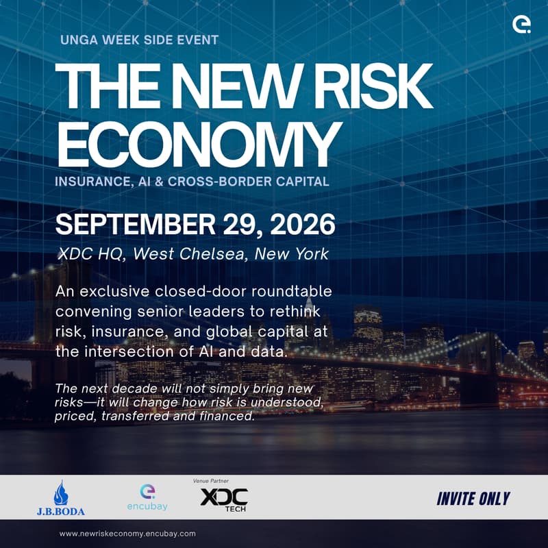 Cover Image for The New Risk Economy