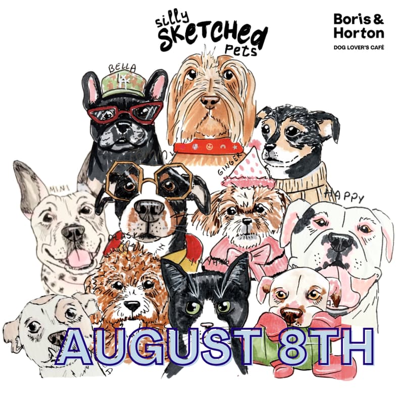 Cover Image for Silly Sketched Pets (Pet Artist) x Boris and Horton