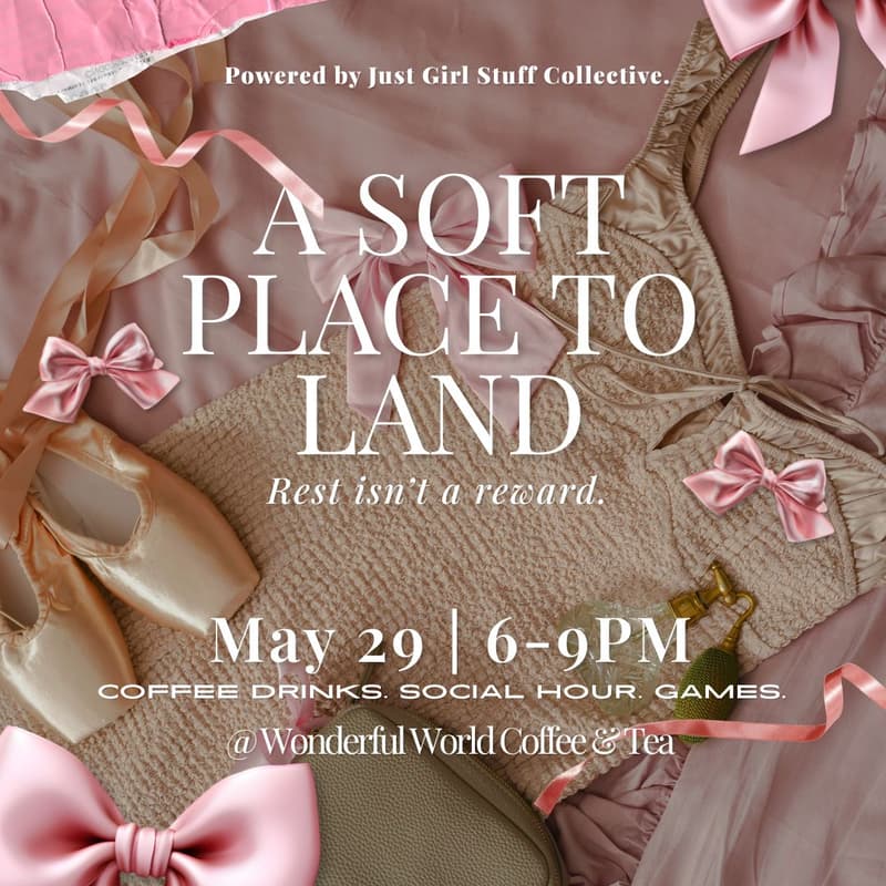 Cover Image for A Soft Place to Land.