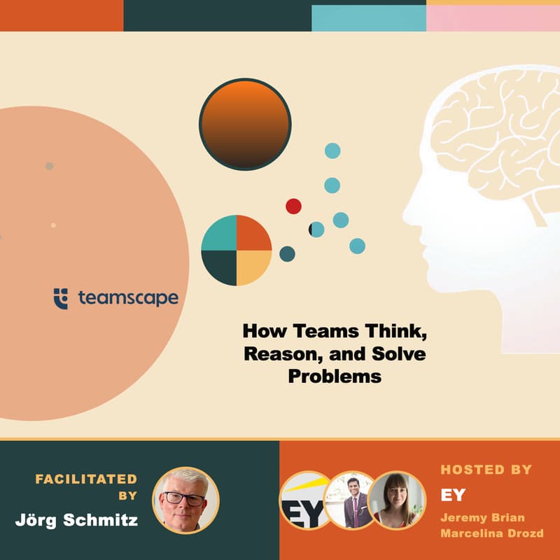 Cover Image for teamscape Lab: How Your Team Diagnoses Problems