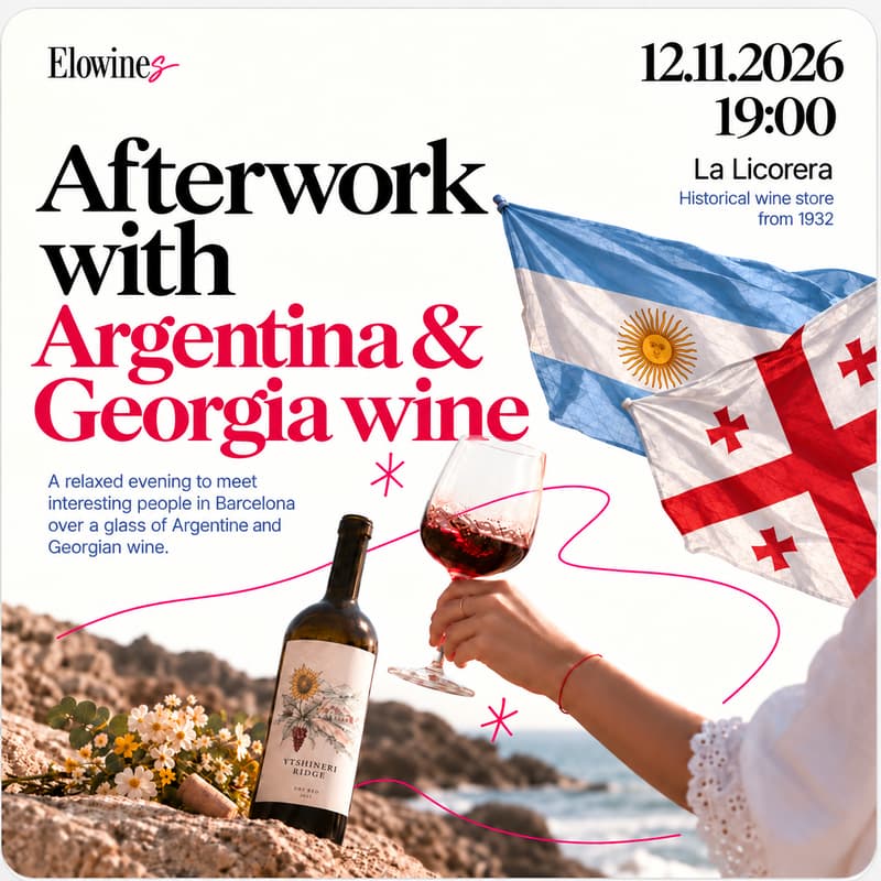 Cover Image for Afterwork Networking (incl. Argentina and Georgia wine)