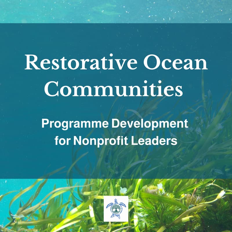 Cover Image for Restorative Ocean Communities: Programme Development for Nonprofit Leaders