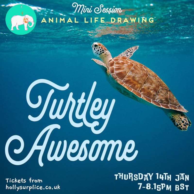 Cover Image for Turtley Awesome Mini Session
