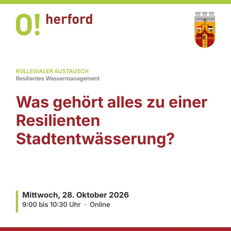 Cover Image for Was gehört alles zu einer Resilienten Stadtentwässerung?