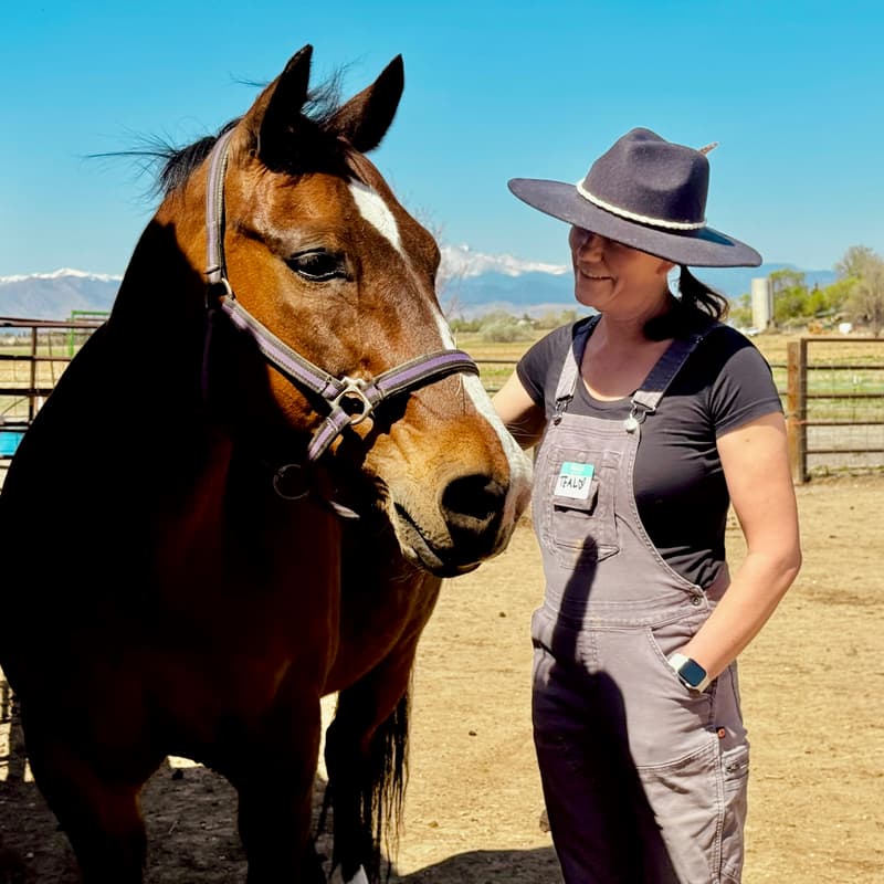 Cover Image for Medicine Horse Corporate Breakfast & Learn