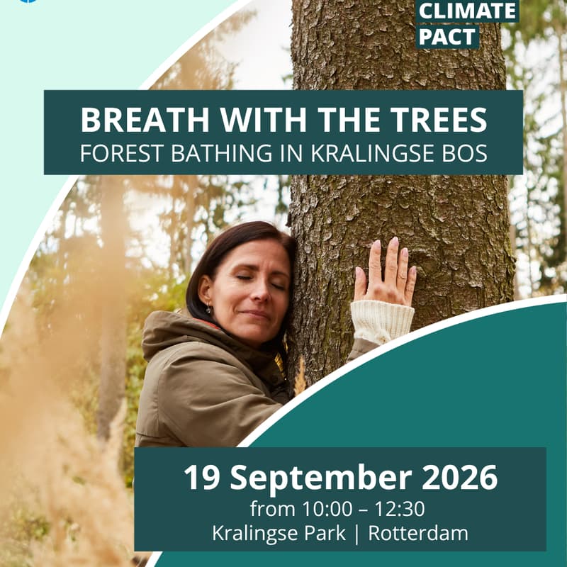 Cover Image for Breath with the trees: Forest Bathing in Kralingse Bos