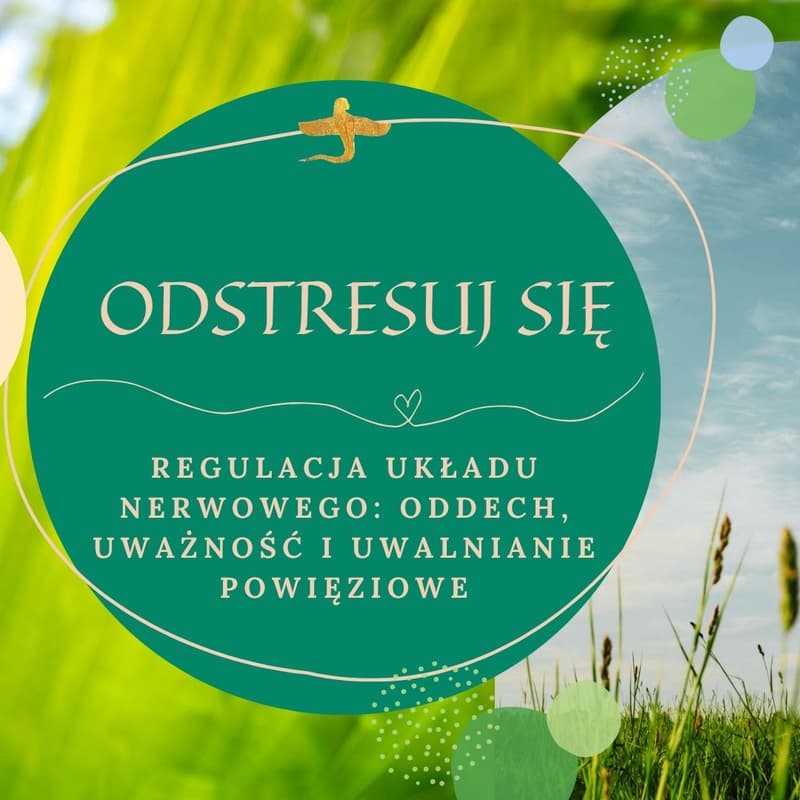 Cover Image for Odstresuj się!