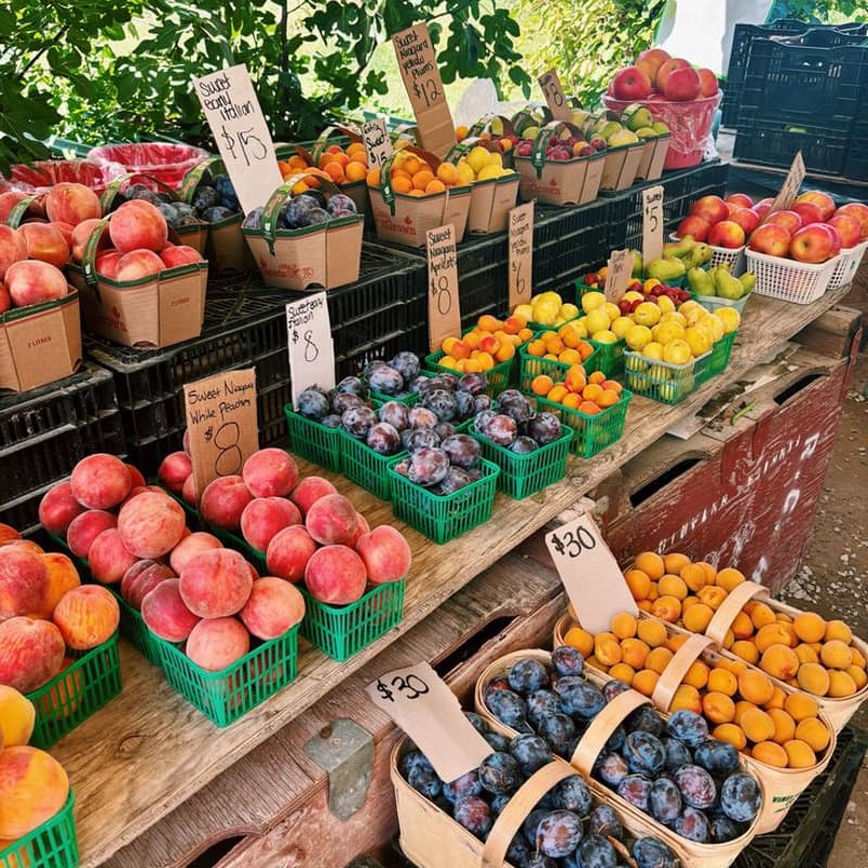 Cover Image for Creatives Farmers Market Walk