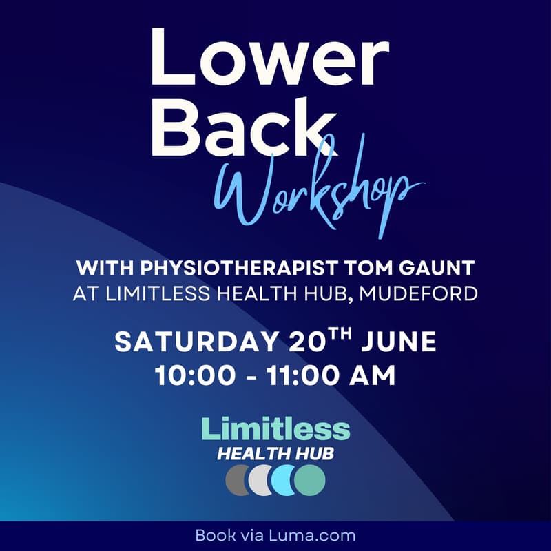Cover Image for Lower Back Workshop