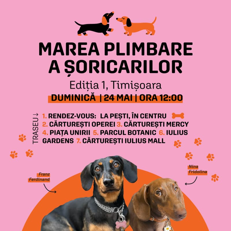 Cover Image for Marea plimbare a șoricarilor