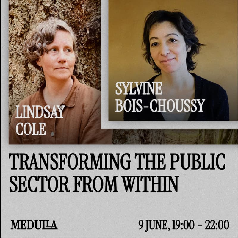 Cover Image for Transforming the Public Sector From Within