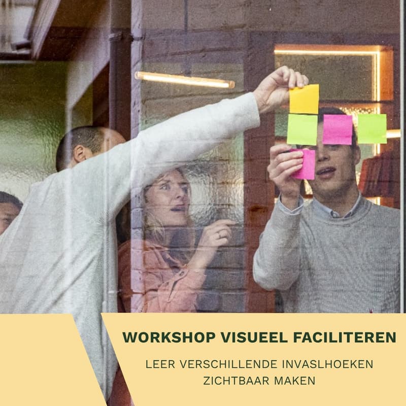 Cover Image for Visueel faciliteren
