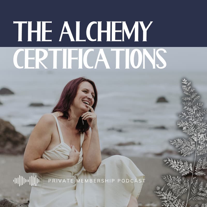 Cover Image for Alchemy Certification Office Hours + Brie's Graduation
