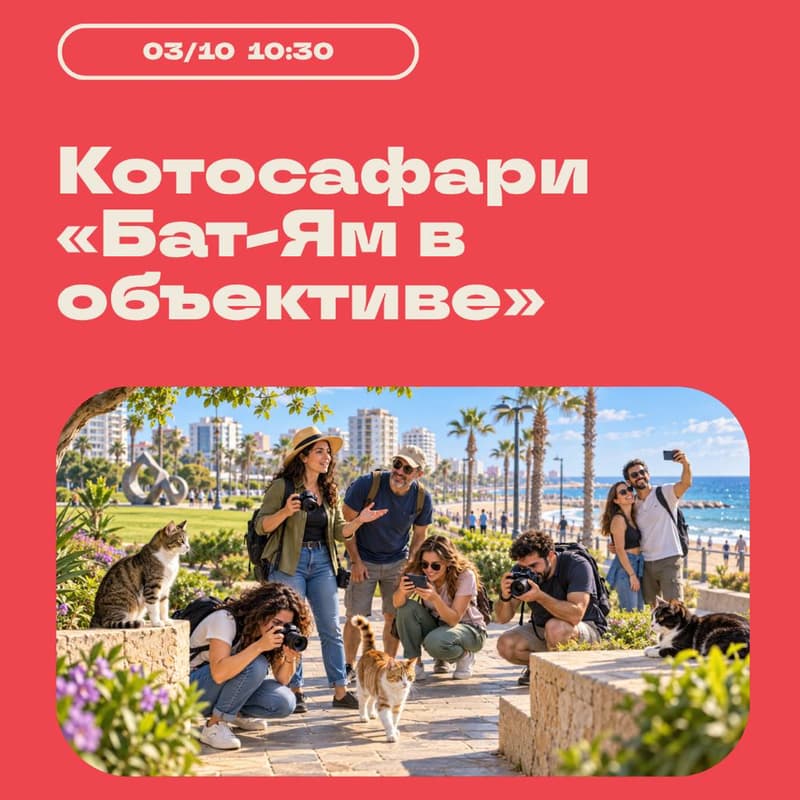 Cover Image for 🐈 Котосафари «Бат-Ям в объективе» 📸