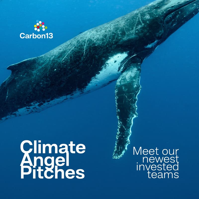 Cover Image for Climate Angel Pitches