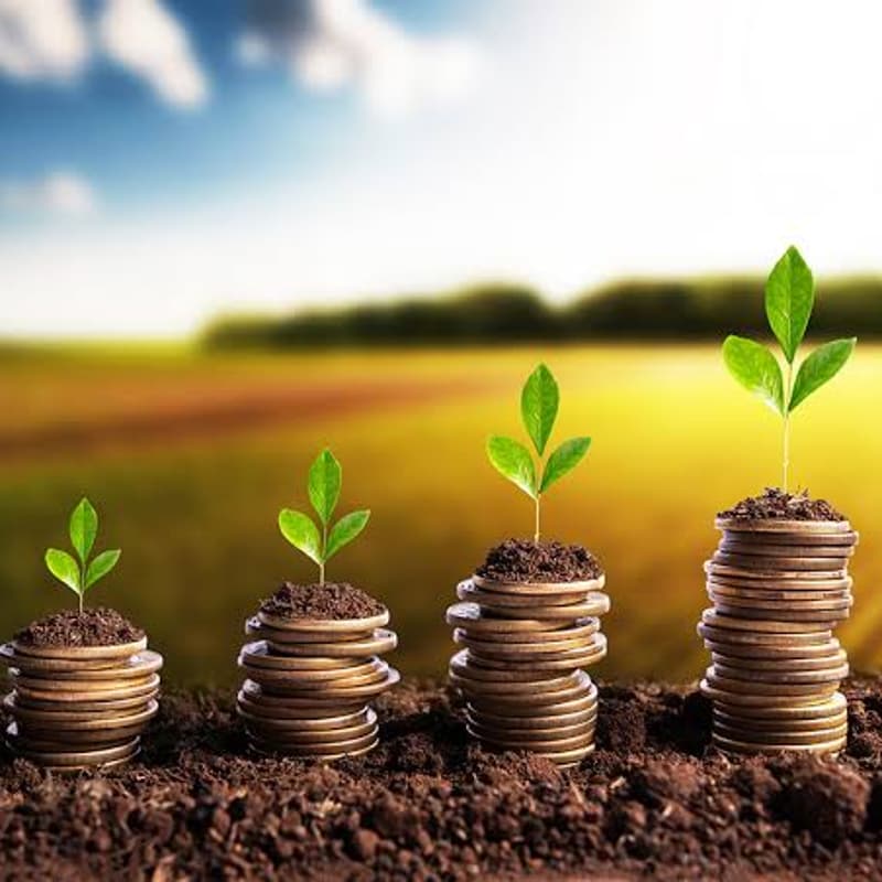Cover Image for Investing in Resilience: Financing the Transition to Regenerative Agriculture
