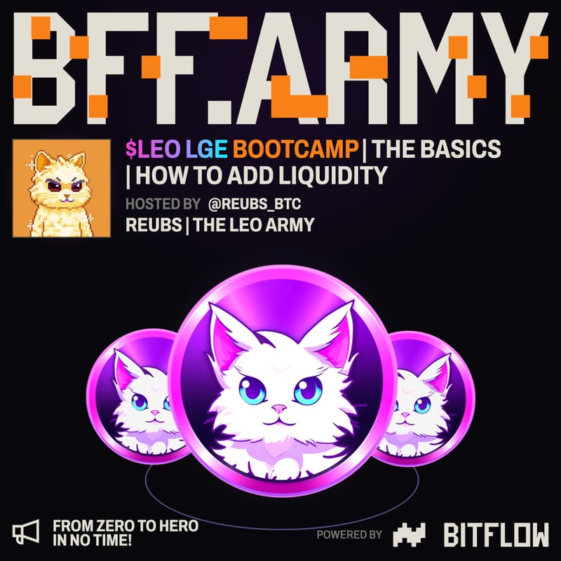 Cover Image for $LEO Bootcamp β LP Strategies for HODLMM