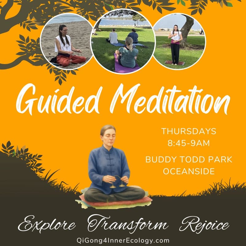 Cover Image for Guided Meditation