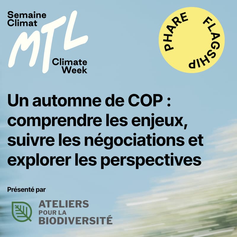 Cover Image for Un automne de COP : comprendre les enjeux, suivre les négociations et explorer les perspectives