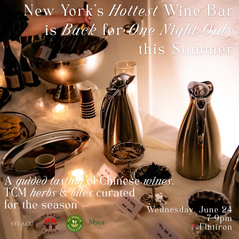 Cover Image for The One Night Wine Bar