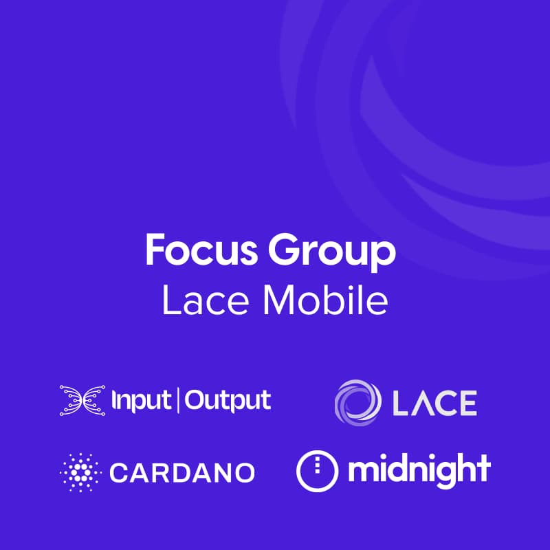 Cover Image for Focus Group - Lace Mobile